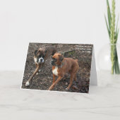 Boxer Dog Valentine (Vorderseite)