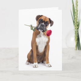 Boxer Dog Valentine Karte
