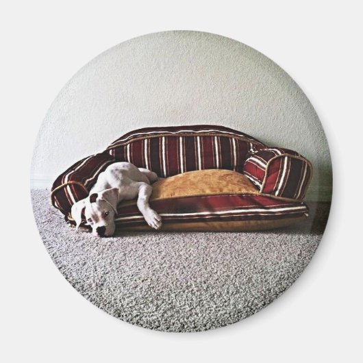 Boxer Doggie Magnet (Vorne)