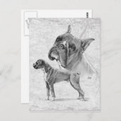 Boxer Dogs Postkarte (Vorne/Hinten)