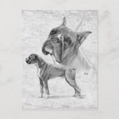 Boxer Dogs Postkarte (Vorderseite)