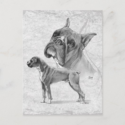 Boxer Dogs Postkarte (Vorderseite)