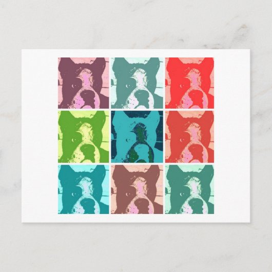 Boxer Dogs Postkarte (Vorderseite)