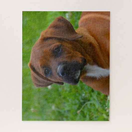 Boxer Dog's Puzzle (Vertikal)