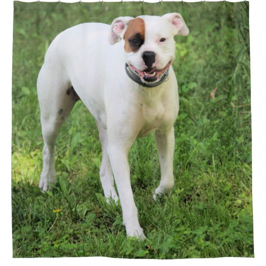 Boxer Duschvorhang (Vorderseite)