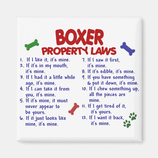 Boxer-Eigenschaftengesetze 2 Magnet (Vorne)