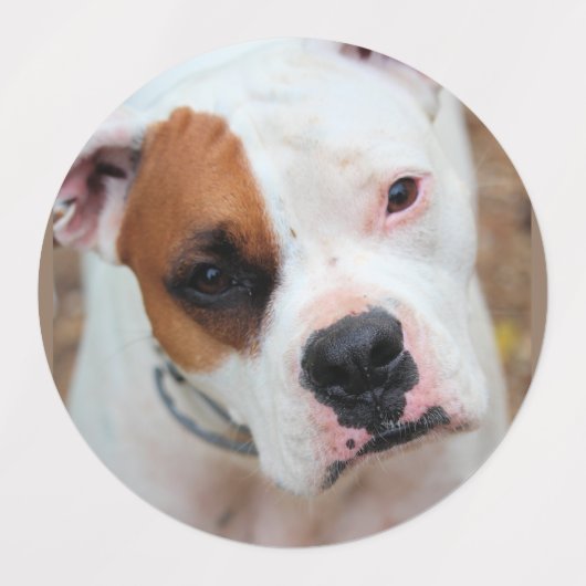 Boxer Etiketten (Design 2)