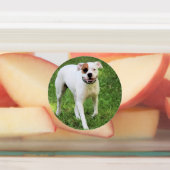 Boxer Etiketten (Befestigt)