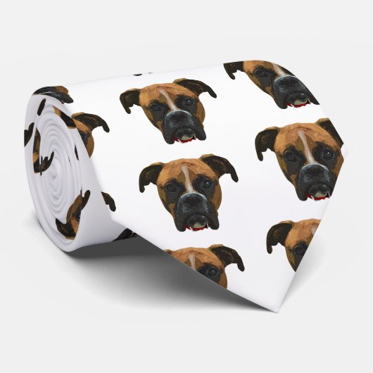 boxer_face005.png krawatte (Gerollt)