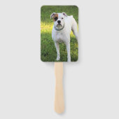 Boxer Fächer (Rückseite)