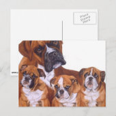 Boxer Family Postkarten (Vorne/Hinten)