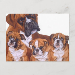 Boxer Family Postkarten