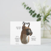 Boxer (fawn) History Design Postkarte (Stehend Vorderseite)
