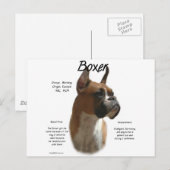 Boxer (fawn) History Design Postkarte (Vorne/Hinten)