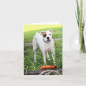 Boxer Feiertagskarte (Vorderseite)