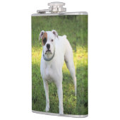 Boxer Flachmann (Links)
