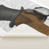 Boxer, formaler Hund und Hut Sherpadecke (3/4)