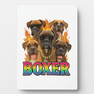 Boxer  fotoplatte