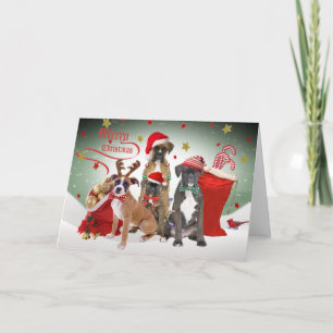 Boxer Frohe Weihnachtsgrußkarten Feiertagskarte
