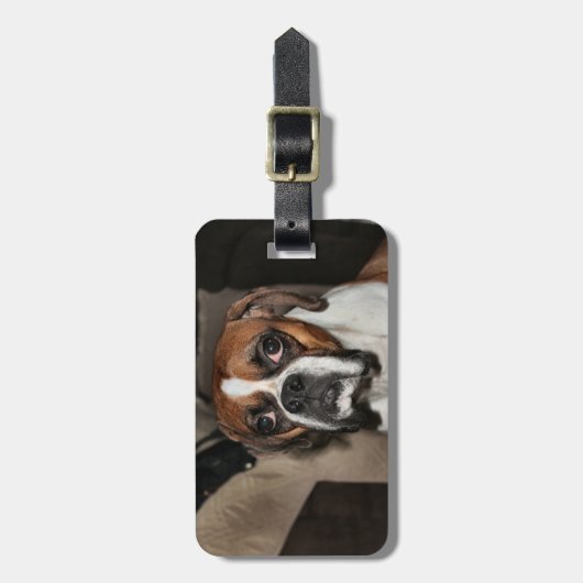 Boxer Gepäckanhänger (Vorderseite vertikal)