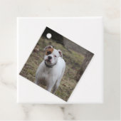 Boxer Geschenkanhänger (Beispiel)