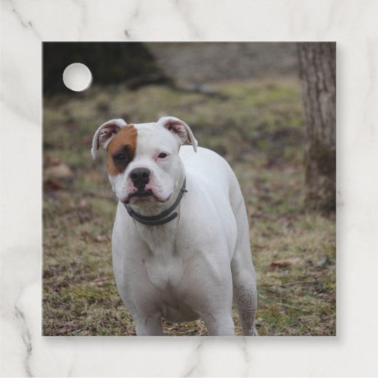 Boxer Geschenkanhänger (Vorderseite)