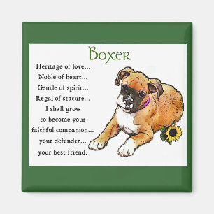 Boxer-Geschenke Magnet