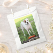 Boxer Geschenktütchen (Ausgeschnitten)
