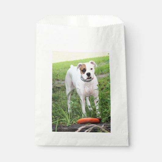 Boxer Geschenktütchen (Vorderseite)