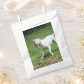 Boxer Geschenktütchen (Ausgeschnitten)