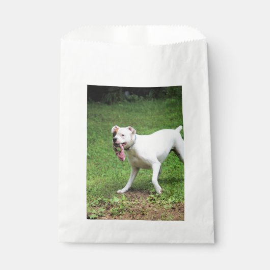 Boxer Geschenktütchen (Vorderseite)