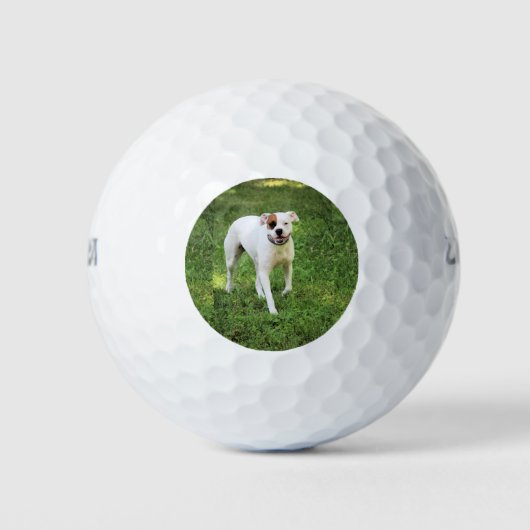 Boxer Golfball (Vorderseite)