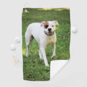 Boxer Golfhandtuch (Insitu)