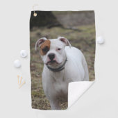 Boxer Golfhandtuch (Insitu)