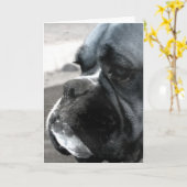 Boxer-Grußkarte Karte (Gelbe Blume)