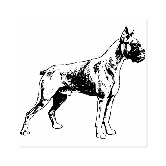 Boxer Gummistempel (Prägung)