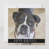 Boxer Happy Birthday From Dog Birthday Card Ankündigung (Vorderseite)
