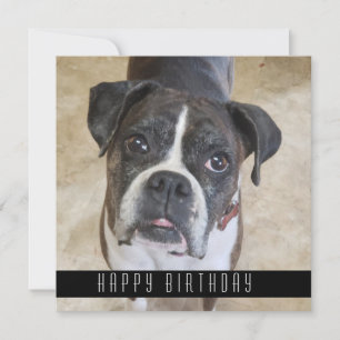 Boxer Happy Birthday From Dog Birthday Card Ankündigung