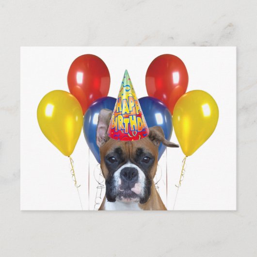 Boxer Happy Geburtstag Postkarte (Vorderseite)