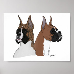 Boxer Heads in Digital Art on Poster