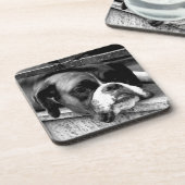 Boxer Hund an der Küste von Windows Getränkeuntersetzer (Linke Seite)