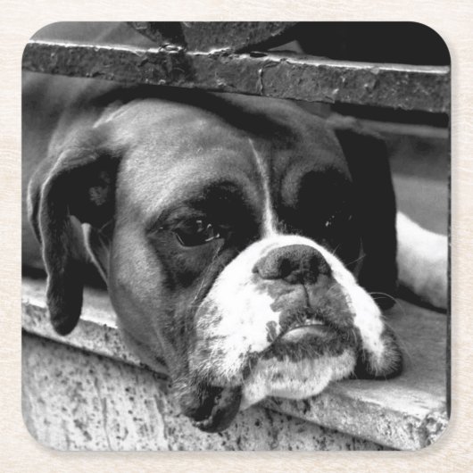 Boxer Hund an der Küste von Windows Rechteckiger Pappuntersetzer (Vorderseite)