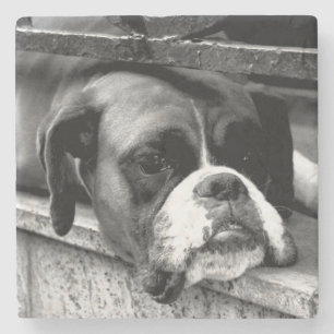 Boxer Hund an der Küste von Windows Steinuntersetzer