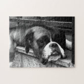 Boxer Hund auf Windows 11x14 252pc jpcn Puzzle (Horizontal)