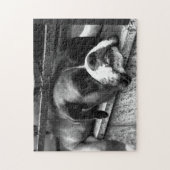 Boxer Hund auf Windows 11x14 252pc jpcnm Puzzle (Vertikal)