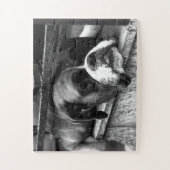 Boxer Hund auf Windows 11x14 30pc jpcna Puzzle (Vertikal)