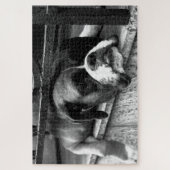Boxer Hund auf Windows 20x30 1014pc jpcn Puzzle (Vertikal)