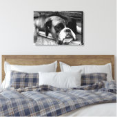 Boxer Hund auf Windows 24x16 (60x40cm) Waccnm Leinwanddruck (Insitu (Schlafzimmer))