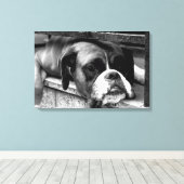 Boxer Hund auf Windows 24x16 (60x40cm) Waccnm Leinwanddruck (Insitu (Holzboden))