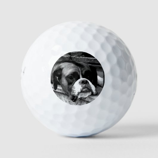 Boxer Hund auf Windows 6 gbcnm Golfball (Vorderseite)